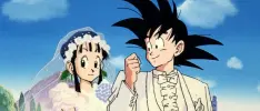 Pareja festeja su boda con cosplay de Goku y Milk