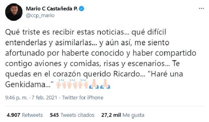 Ricardo-Silva-Mensaje-Mario
