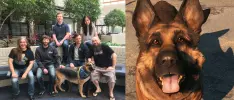River, el perro que inspiró a Dogmeat en Fallout 4, ha fallecido