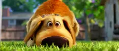 Aquí el primer tráiler de Dug Days, nueva serie de cortometrajes de Disney y Pixar