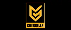 Nueva pista sugiere que Guerrilla Games estaría haciendo un RPG online