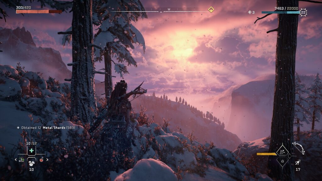 Horizon Forbidden West_20220201174134