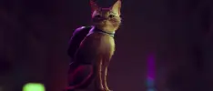 Stray ya tiene fecha de lanzamiento