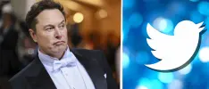 Elon Musk cancelará el acuerdo de compra a Twitter