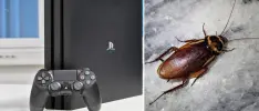 Encuentran nido de cucarachas en un PlayStation 4