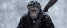 Aquí el primer vistazo a Kingdom of the Planet of the Apes