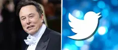 Accionistas de Twitter aprueban la compra de Elon Musk