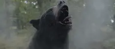 Cocaine Bear ya tiene su primer tráiler