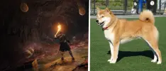 Perro logra jugar a Elden Ring con tapete de baile