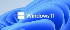 Descubren grave bug en Windows 11