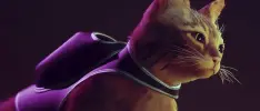 Stray podría llegar a consolas Xbox