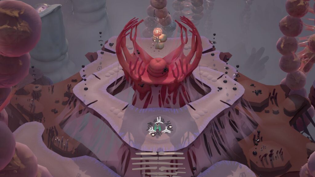cocoon_06