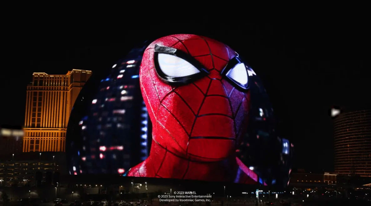 spider