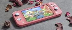 Crean Switch Lite con pantalla OLED