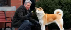 Hachiko tendrá su propio anime en los próximos meses