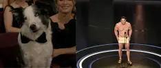 Los mejores memes de los Óscar 2024