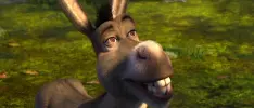 Burro tendrá su propia película spin-off de Shrek