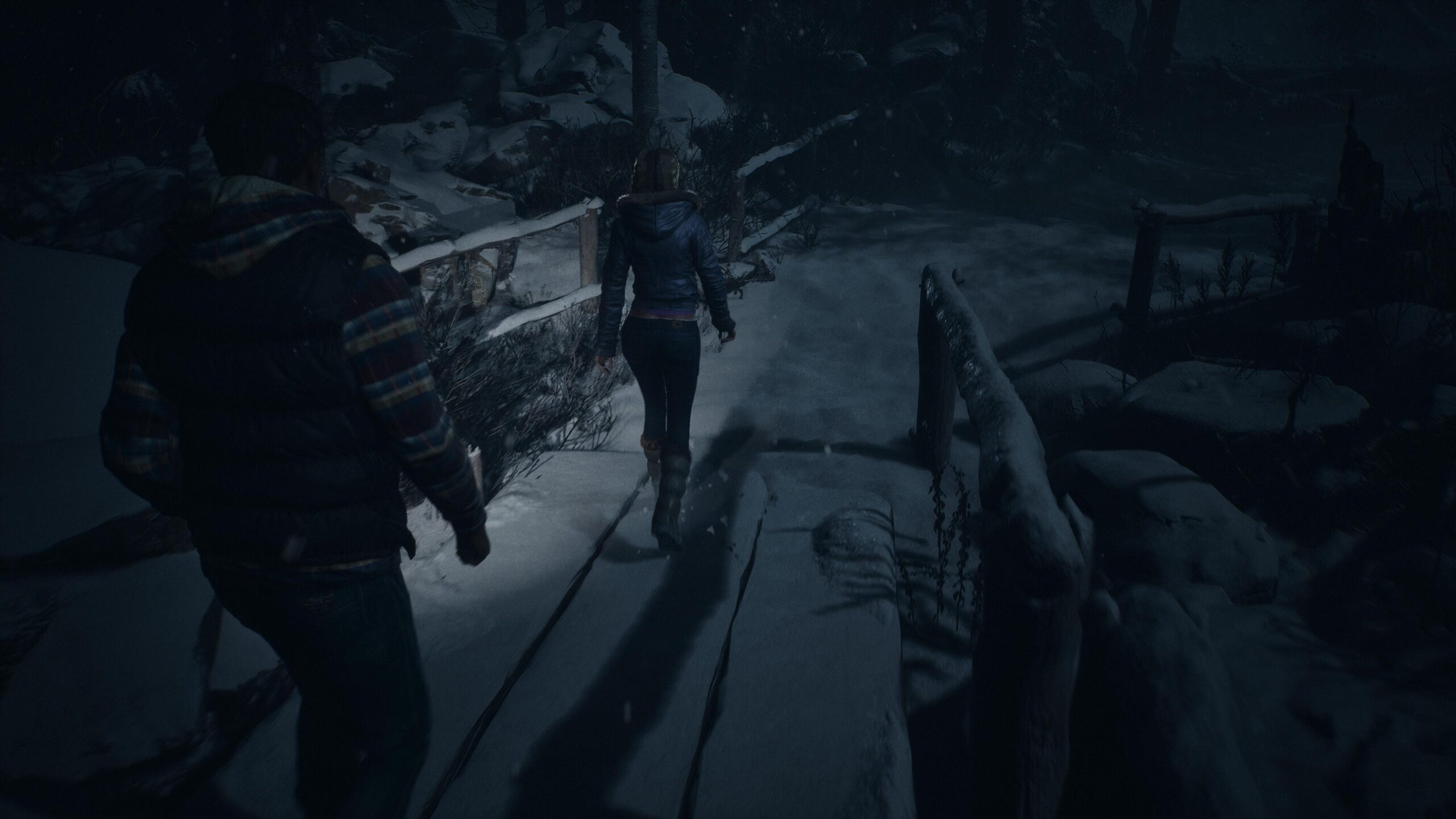 Until Dawn_20241008203918