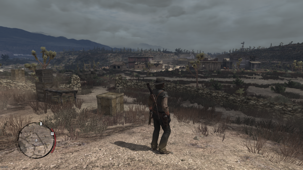 Red Dead Redemption 06_11_2024 08_52_52 p. m.