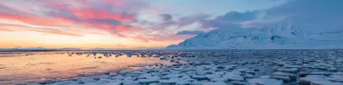 El primer día sin hielo en el Océano Ártico se acerca