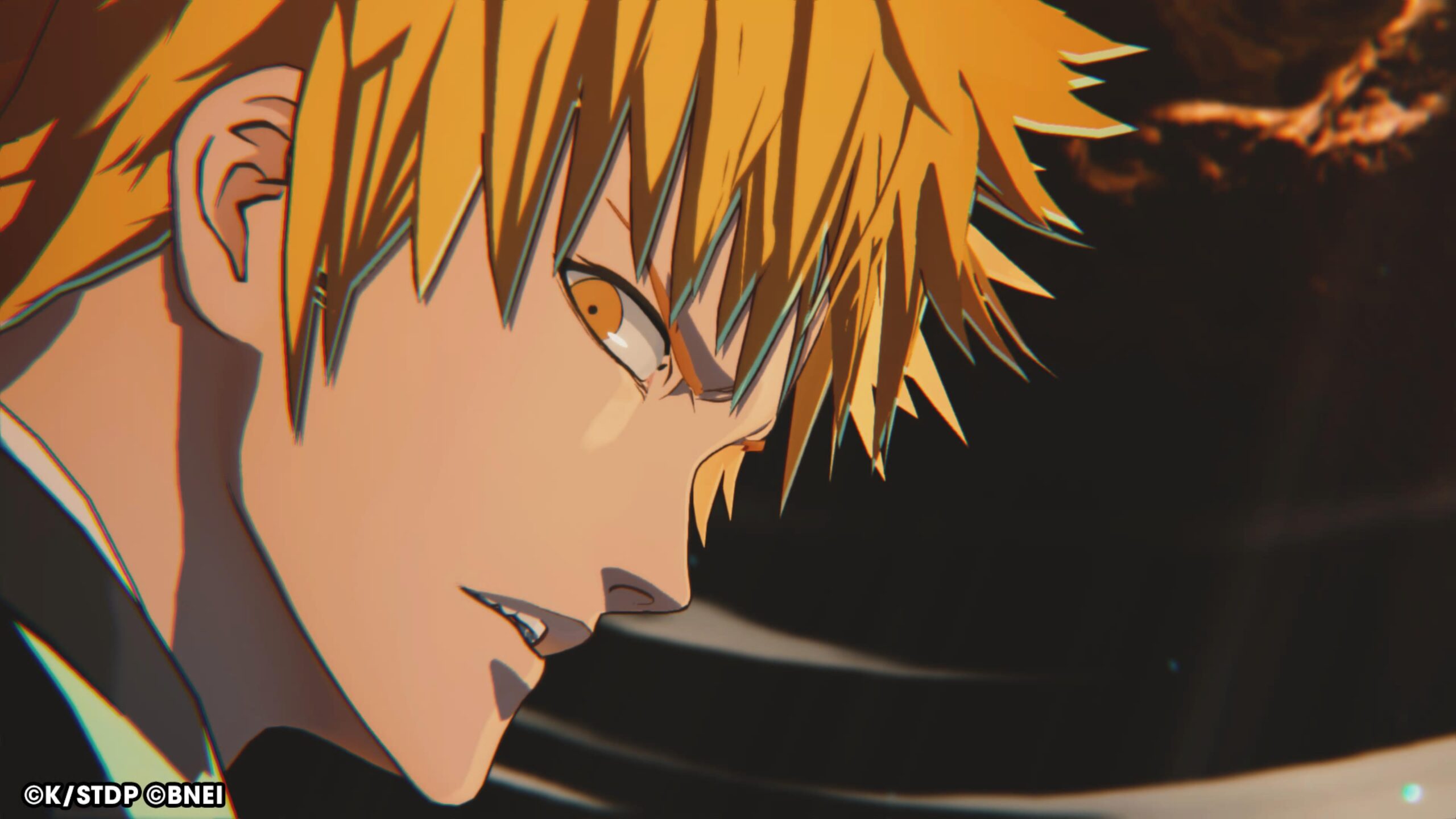 BLEACH Rebirth of Souls_20250321092841