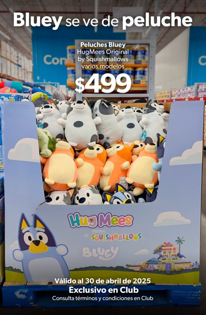 487506868_1078413410985822_4627071804120132935_n