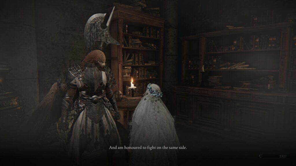 ELDEN RING NIGHTREIGN_20250524120809