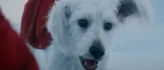 James Gunn elimina escena de Krypto en la película de Superman