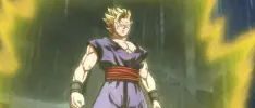 ¿Dragon Ball Super ha sido cancelado?