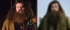 Liberan la primera foto del nuevo Hagrid de la serie de Harry Potter